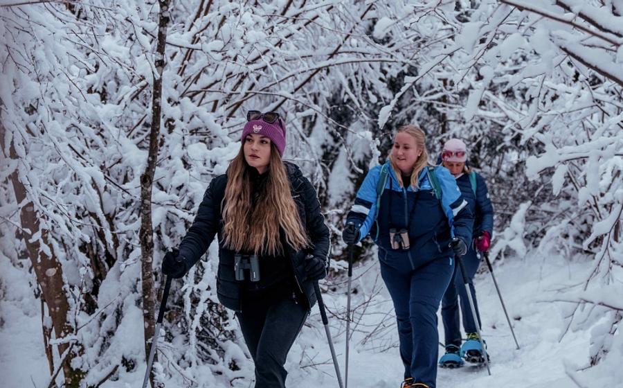 Nature Watch im Winter - Spuren im Schnee