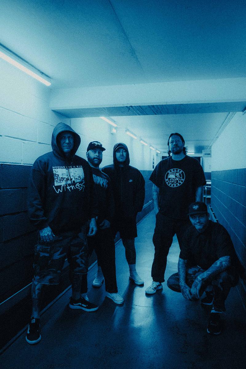 Comeback Kid 7088