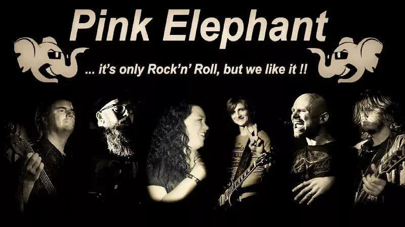 Bild 1, © Pink Elephant