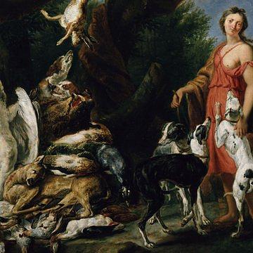 Unter die Lupe genommen: Herbst und Winter. Kunst und Biologie
