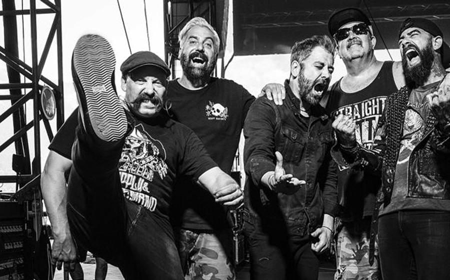 Zebrahead