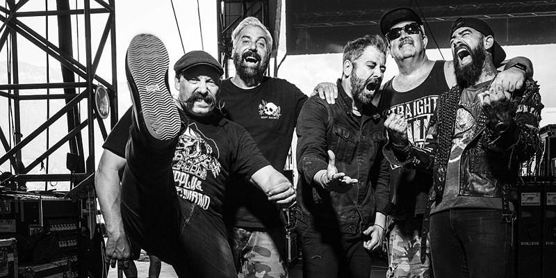 Zebrahead