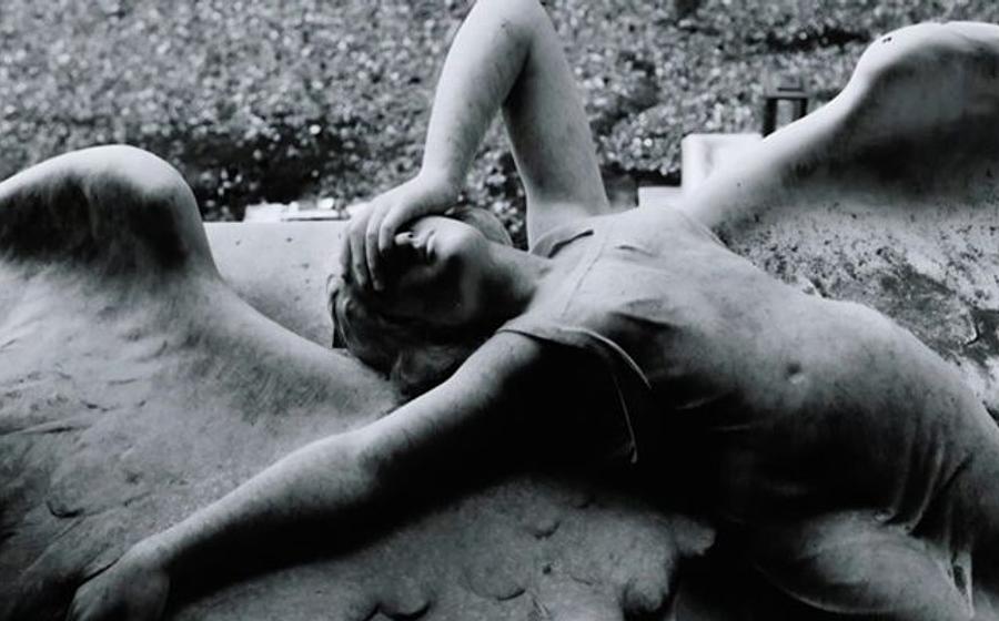 Transmission - The Sound of Joy Division