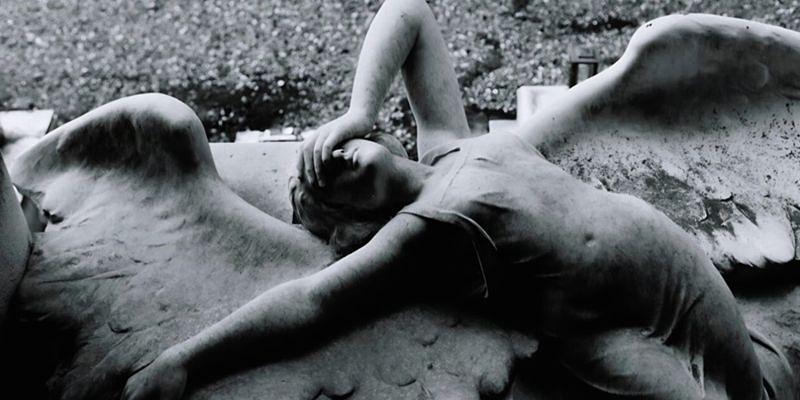 Transmission - The Sound of Joy Division