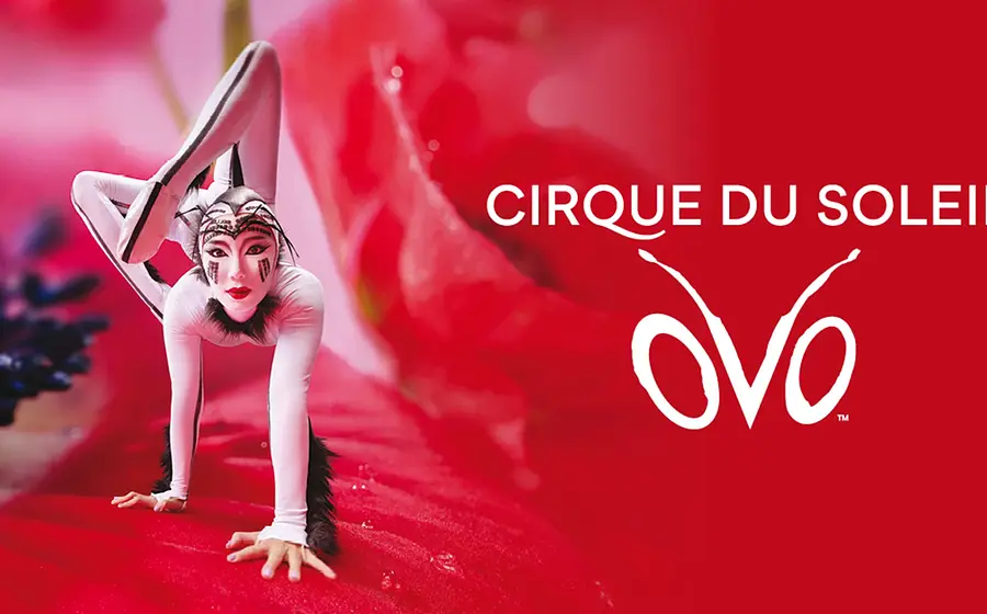 Cirque du Soleil OVO Show, Akrobatin in extremer Pose auf rotem Bühnenbild