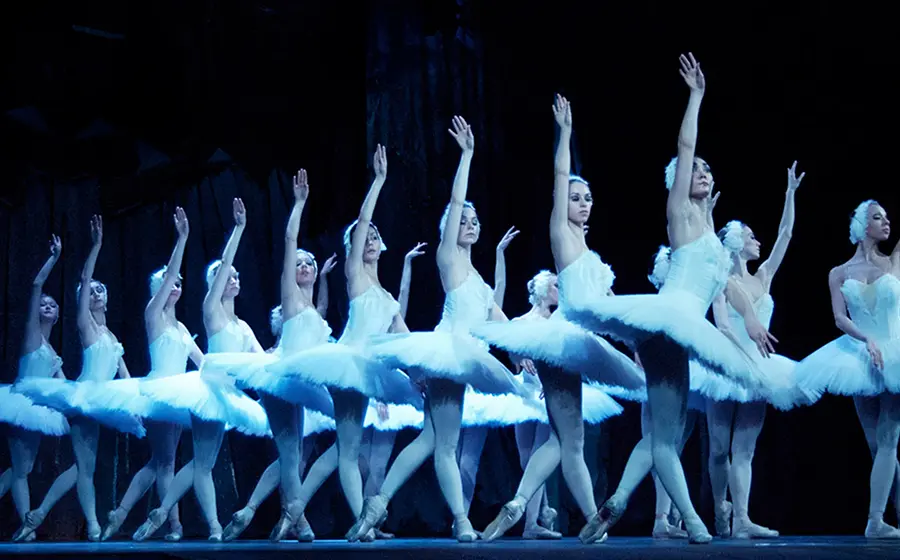 Bühnenfoto aus Schwanensee mit mehreren Balletttänzerinnen in weißen Tutu-Kostümen, die synchron in einer Formation auf Spitzenschuhen tanzen, vor dunkelblau beleuchtetem Bühnenhintergrund.