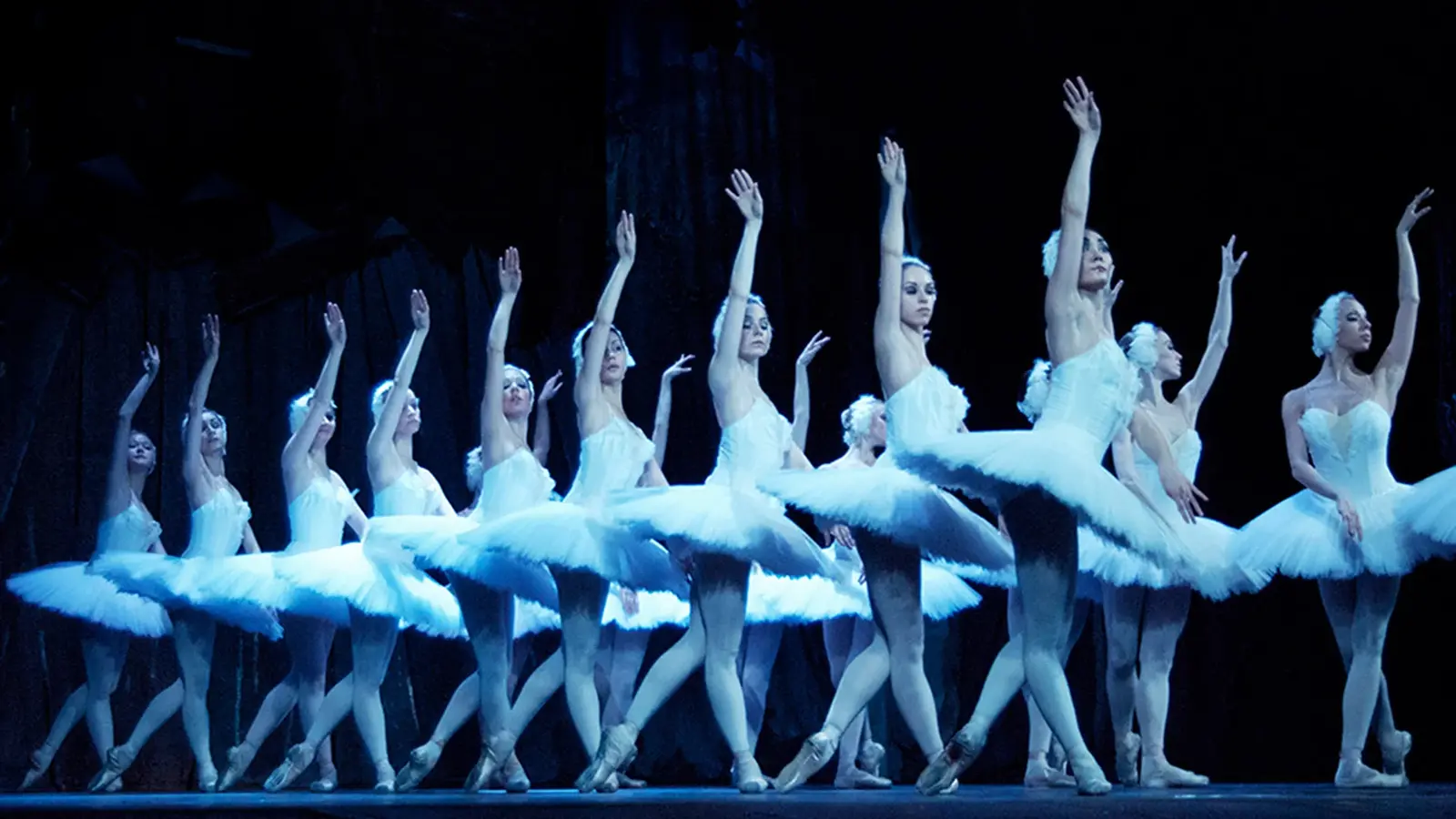 Bühnenfoto aus Schwanensee mit mehreren Balletttänzerinnen in weißen Tutu-Kostümen, die synchron in einer Formation auf Spitzenschuhen tanzen, vor dunkelblau beleuchtetem Bühnenhintergrund.