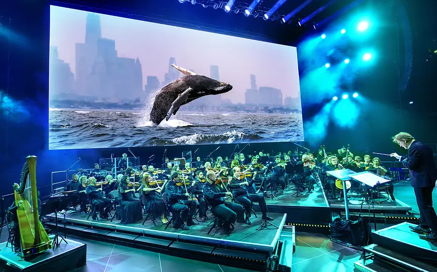 Bühnenfoto eines Symphonieorchesters mit Dirigent auf Podest vor großer Leinwand, die einen aus dem Meer springenden Wal vor einer Stadtkulisse zeigt, umgeben von blauer Bühnenbeleuchtung und Scheinwerfern zur Veranstaltung Unser Blauer Planet III