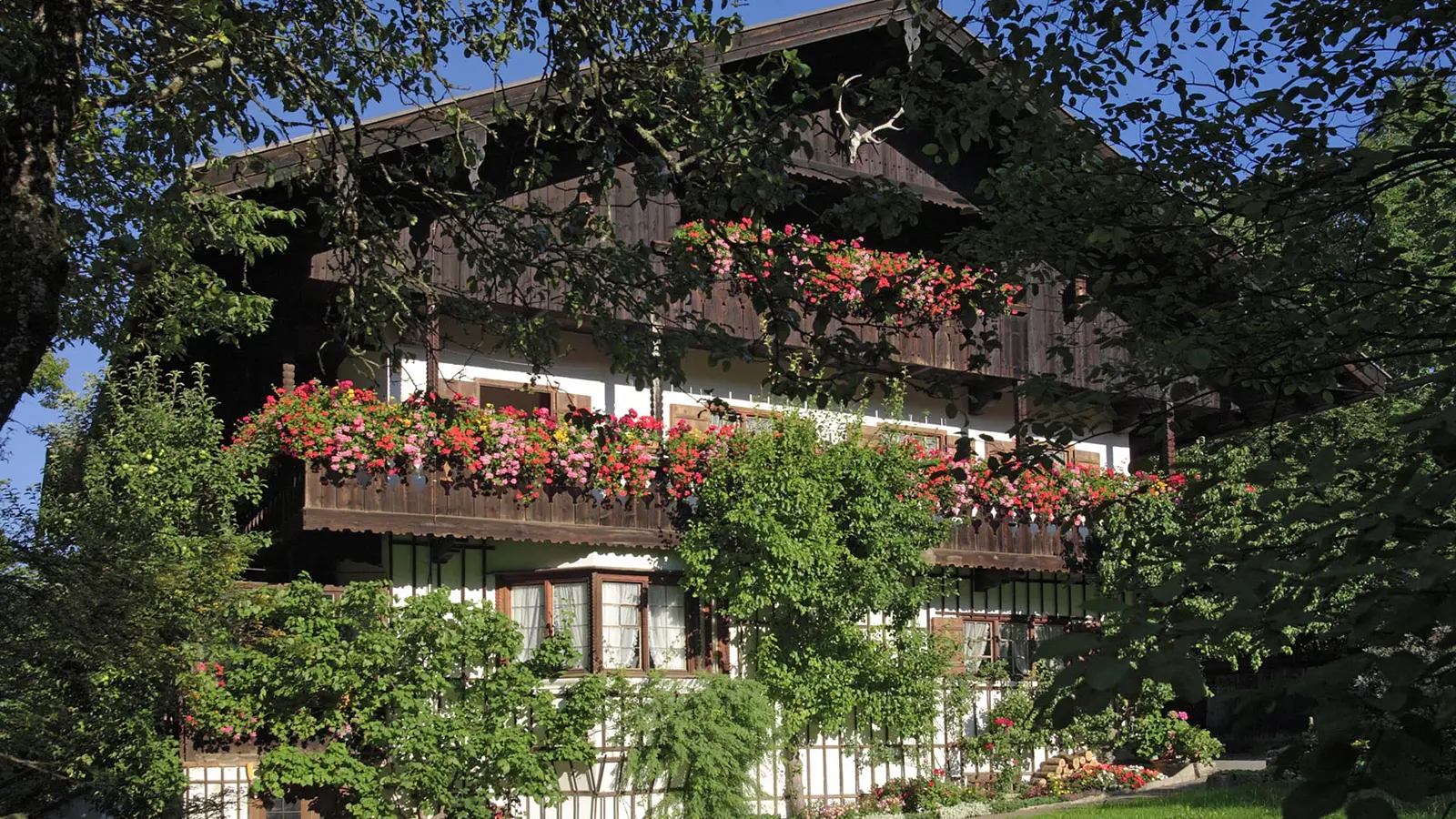 Luddwig Thoma  Haus im Sommer mit Blumen