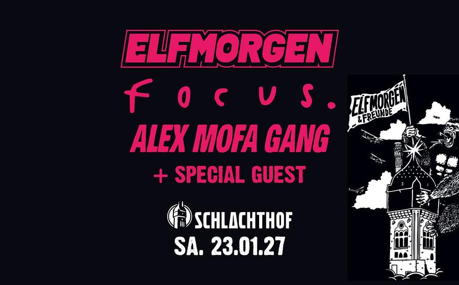 Elfmorgen & Freunde Vol. 8
