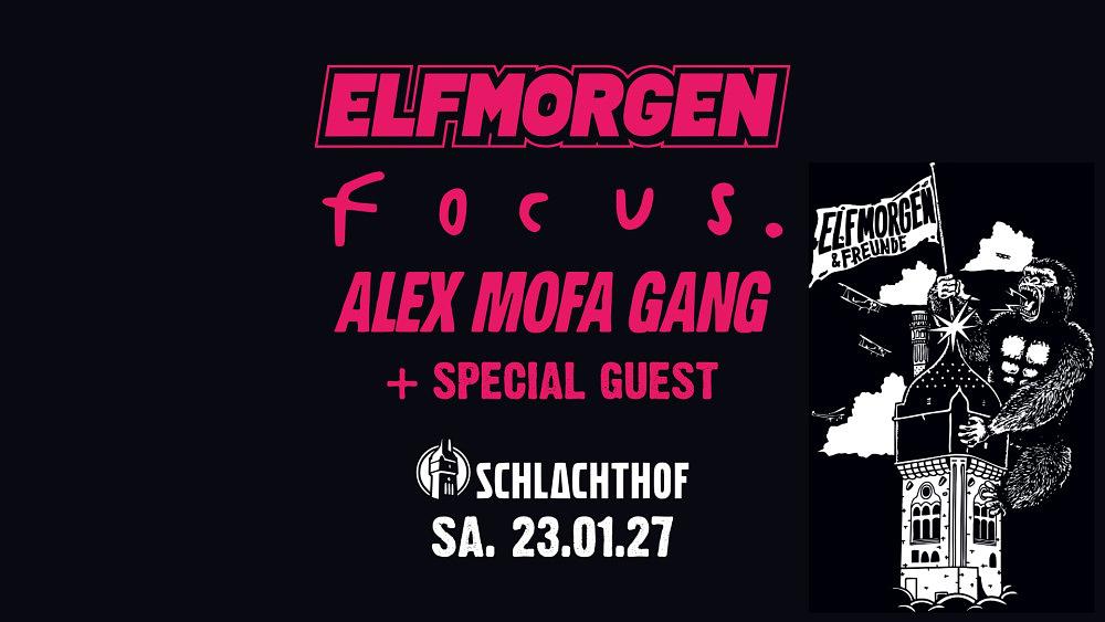 Elfmorgen & Freunde Vol. 8