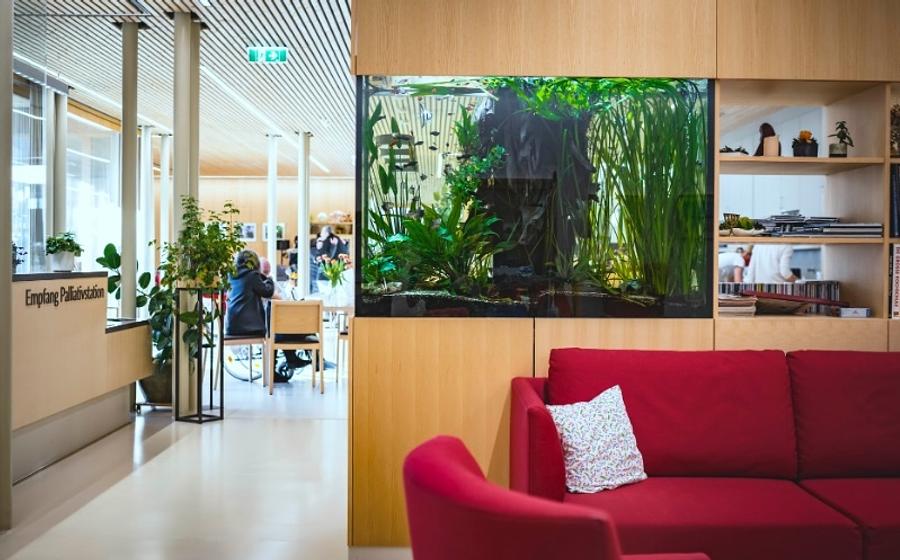 Einblicke in die Hospizarbeit – Februar 2027