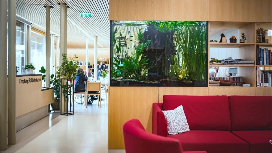 Einblicke in die Hospizarbeit – Februar 2027