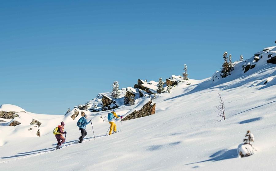 Mit Schneeschuhen zur längsten Zirbenbank in den Alpen - Geführte Wanderung