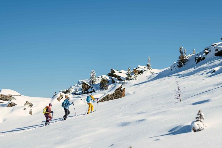 Mit Schneeschuhen zur längsten Zirbenbank in den Alpen - Geführte Wanderung