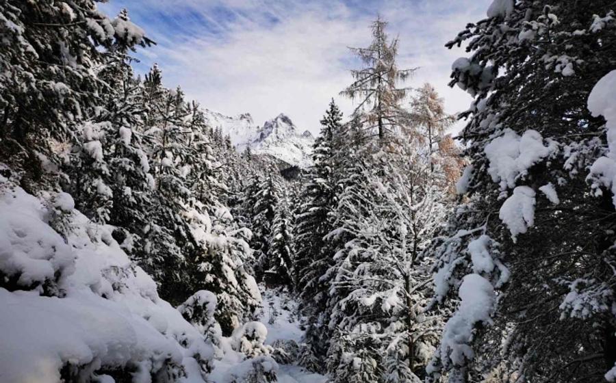 Weihnachtswanderung für junge Menschen