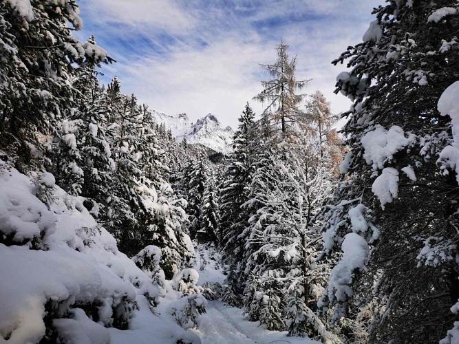 Weihnachtswanderung für junge Menschen