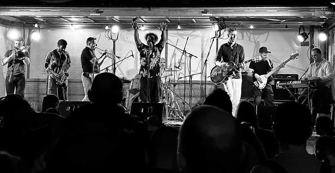 The Special Guests feat. Willie Ocean