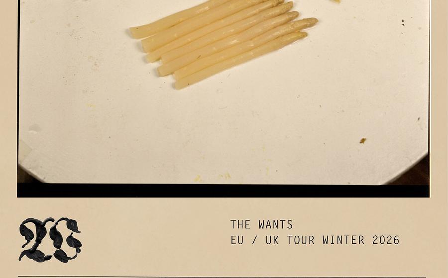 The Wants (post-punk, nyc)