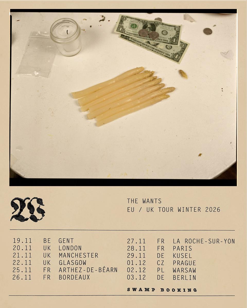 The Wants (post-punk, nyc)