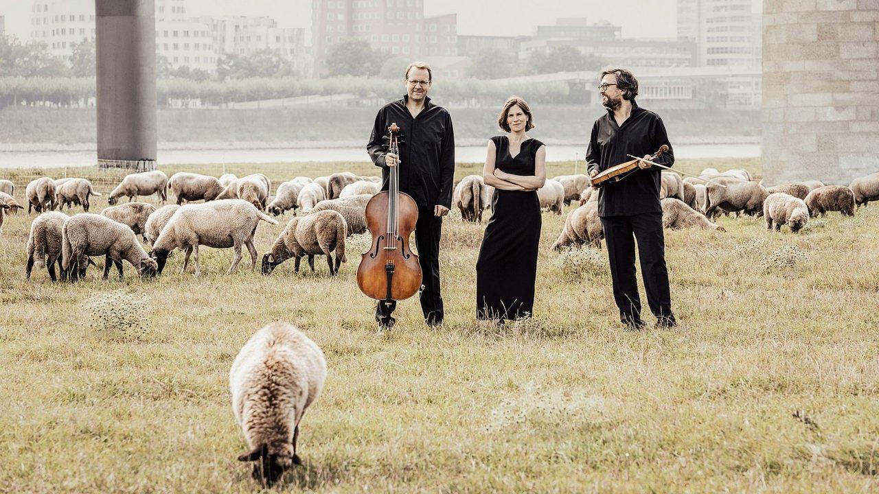 DUNKELKONZERT: MORGENSTERN TRIO