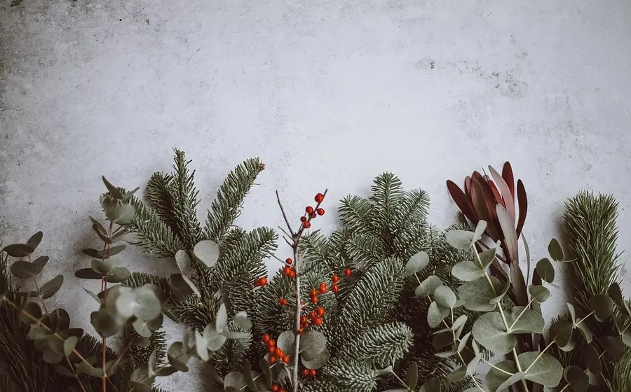 Kreativecke: Basteln für den Advent