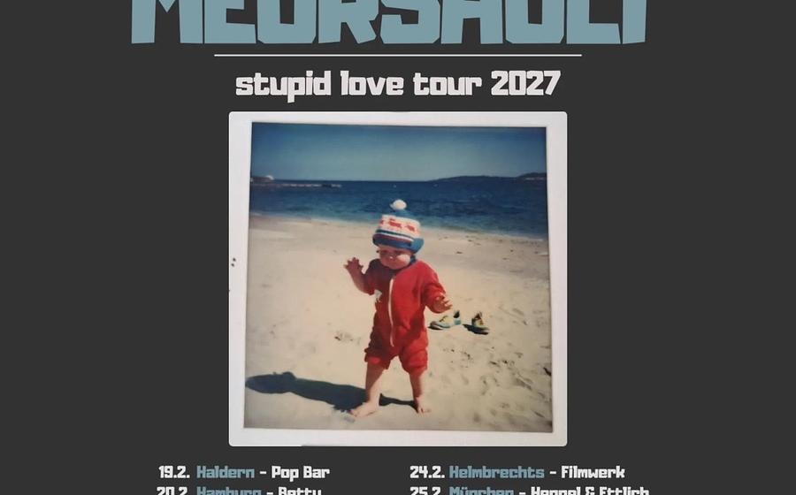 Honig & Meursault - stupid love tour 2027! (2x folk / indie-pop / songwriter)