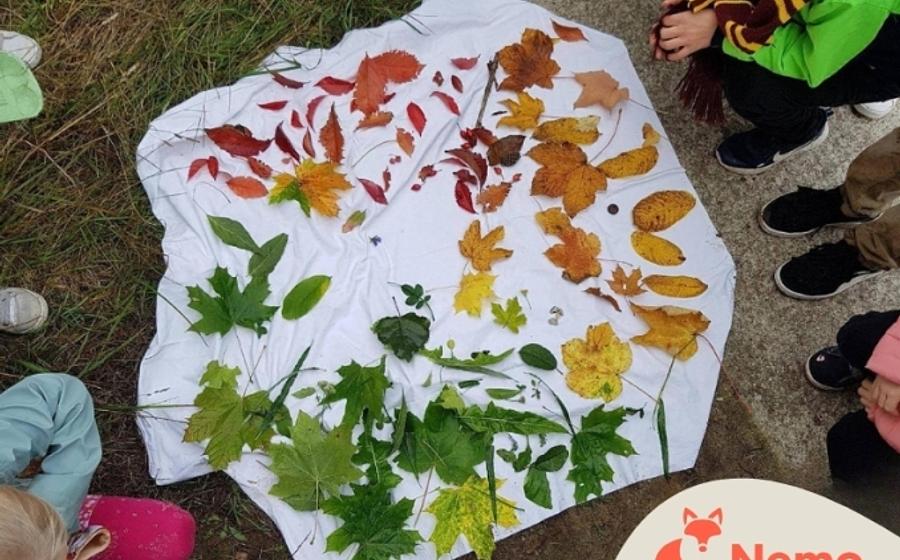 Natur-Kunst: LandArt im Schul-Umwelt-Zentrum Mitte