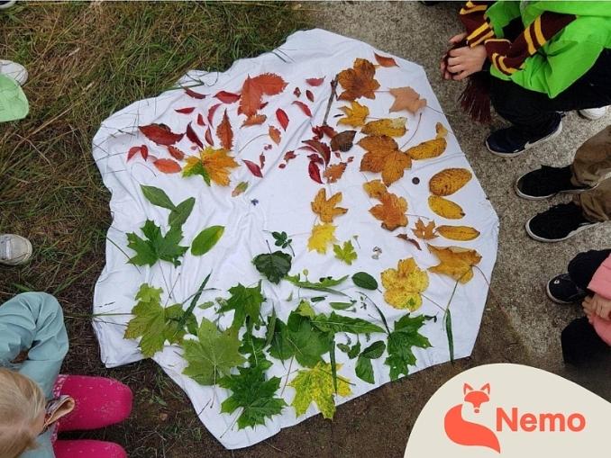 Natur-Kunst: LandArt im Schul-Umwelt-Zentrum Mitte