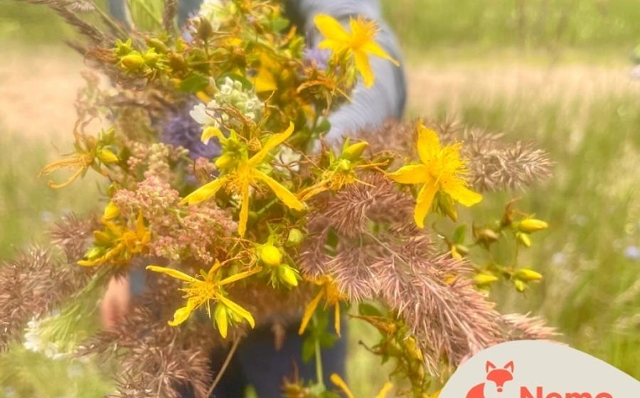 Wildnis-Detektiv*innen in der Gartenarbeitsschule Charlottenburg-Wilmersdorf