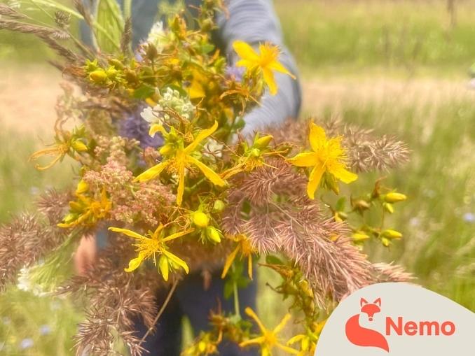 Wildnis-Detektiv*innen in der Gartenarbeitsschule Charlottenburg-Wilmersdorf