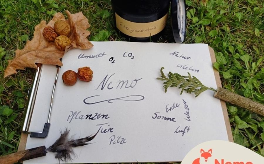 Naturtinte und Pinsel herstellen und kreativ einsetzen