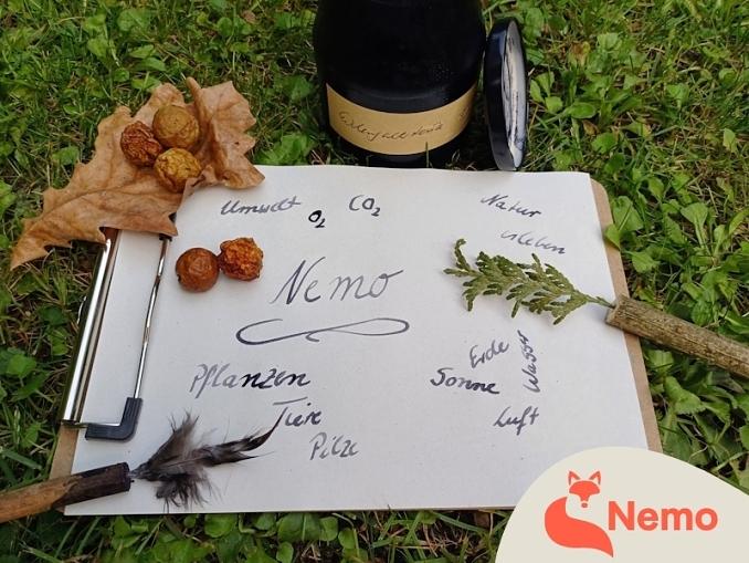 Naturtinte und Pinsel herstellen in der Gartenarbeitsschule Lichtenberg