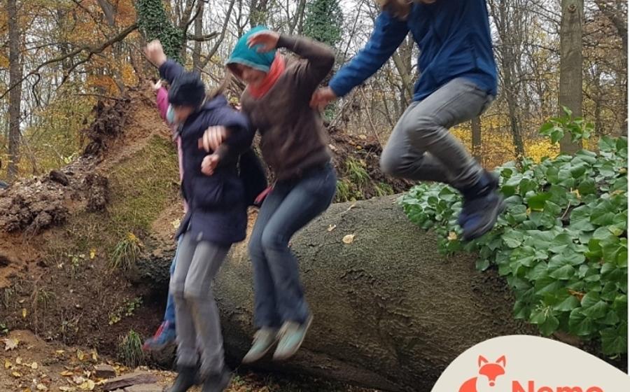 Tierisch herbstliche Spiele