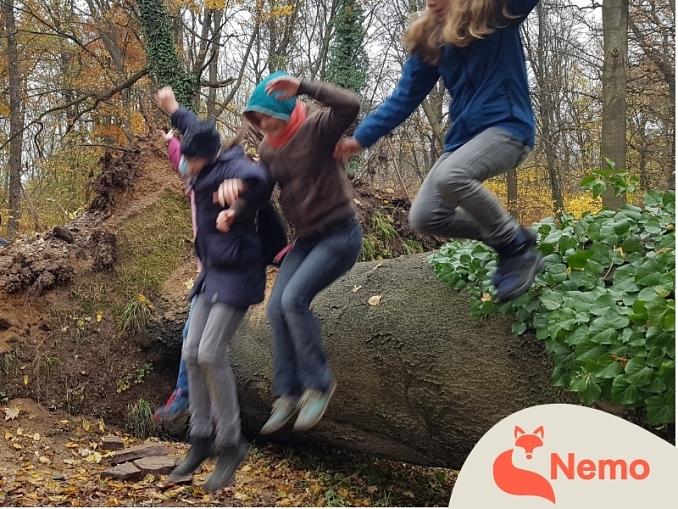 Tierisch herbstliche Spiele