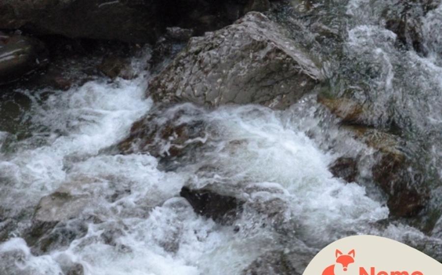 Die WasserWunderWerkstatt