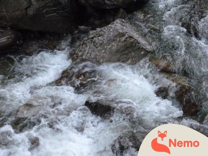Die WasserWunderWerkstatt in der Gartenarbeitsschule Neukölln