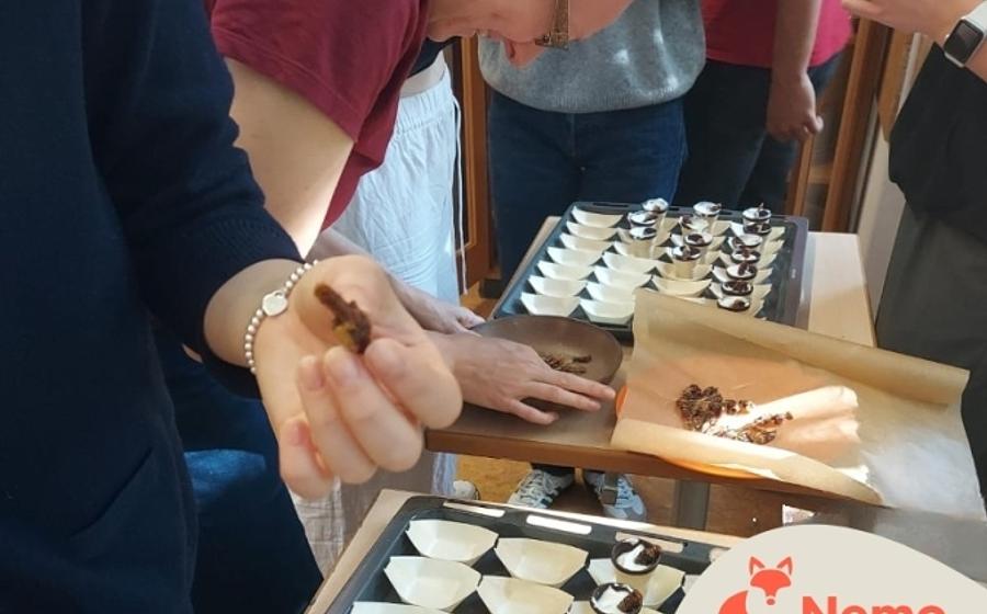 Insekten sind Superfood! - in der Gartenarbeitsschule Charlottenburg-Wilmersdorf