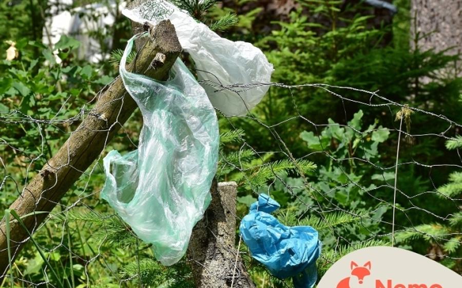 Müll vermeiden – Ja, klar! Aber wie?