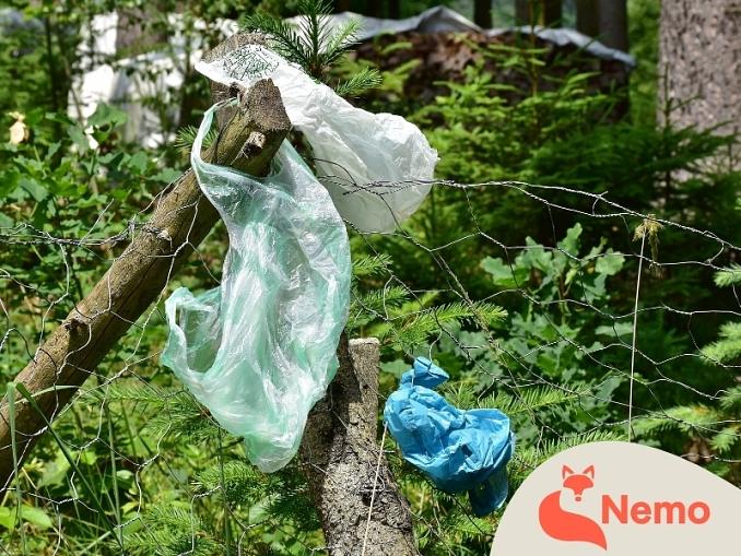Müll vermeiden – Ja, klar! Aber wie?