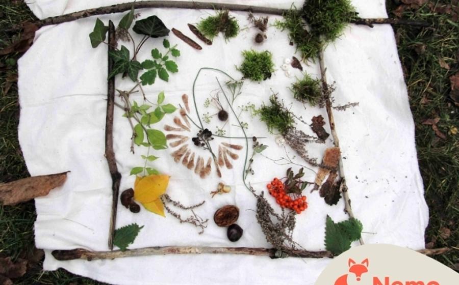 Natur-Kunst in der Naturschutzstation Hahneberg