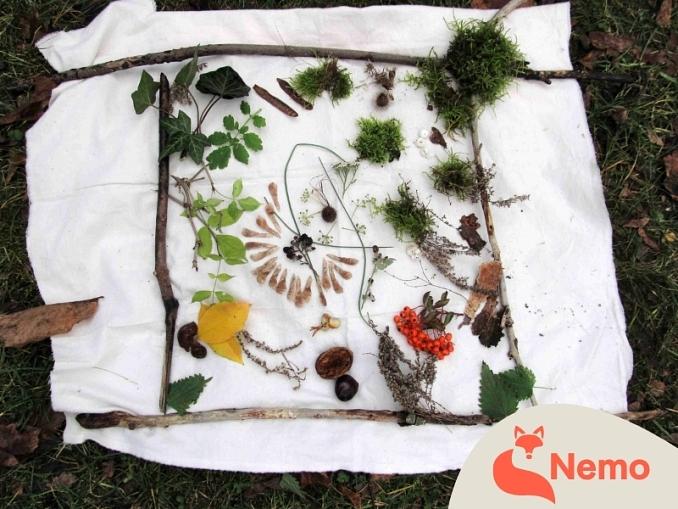 Natur-Kunst: LandArt im Park