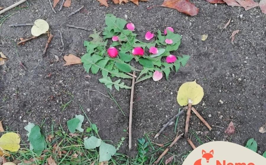 Farben und Formen der Natur