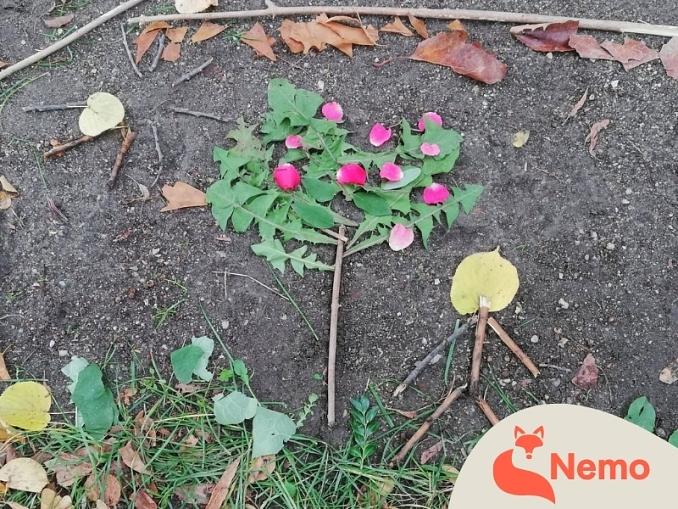 Farben und Formen der Natur