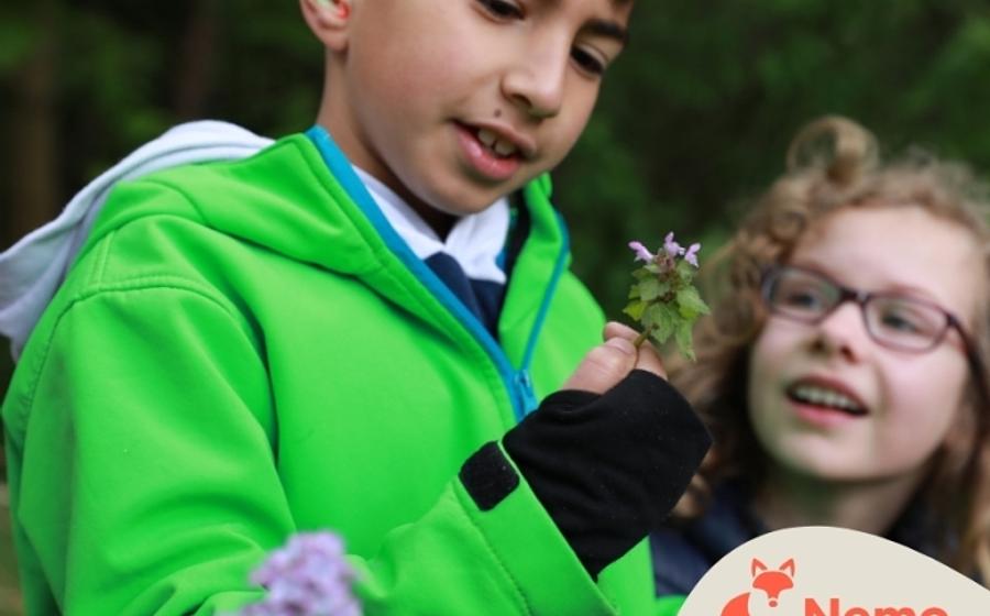 Wildnis-Detektiv*innen im Schul-Umwelt-Zentrum Mitte