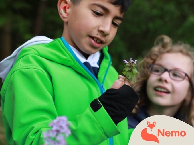Wildnis-Detektiv*innen im Schul-Umwelt-Zentrum Mitte